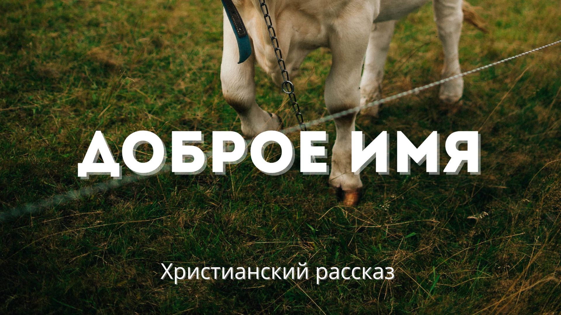 Доброе имя | Христианский рассказ смотреть онлайн