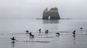 Шантарский острова. Фильм-слайдшоу Ольги Крицак