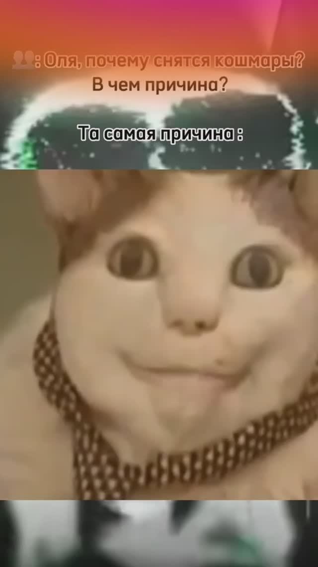 Почему мне снятся кошмары 🤣 смотреть онлайн