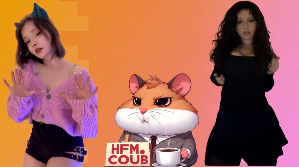 HFM COUB BEST CUBE Coub Приколы 2025 entertainment show, video collection from all over the world