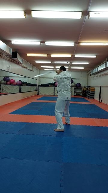 3-форма меча по тхэквондо СК ЭРИДАН МЕДЛЕННО