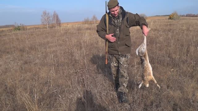 Охота на зайца русака смотреть онлайн