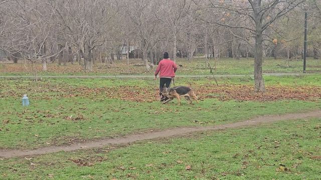 4. выражено/перв ATSEL HOF MISTIKA (Уран из Белого Яра – Atsel Hof Mishel) смотреть онлайн