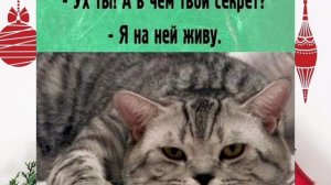 Анекдоты, юмор, статусы, приколы 😁