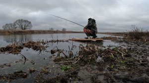 РЫБАЛКА НА ПОПЛАВОЧНУЮ УДОЧКУ 29 НОЯБРЯ