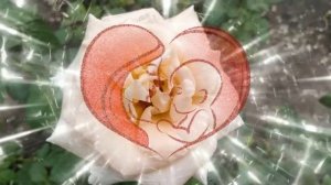 Мама моя - Иван Ведерников