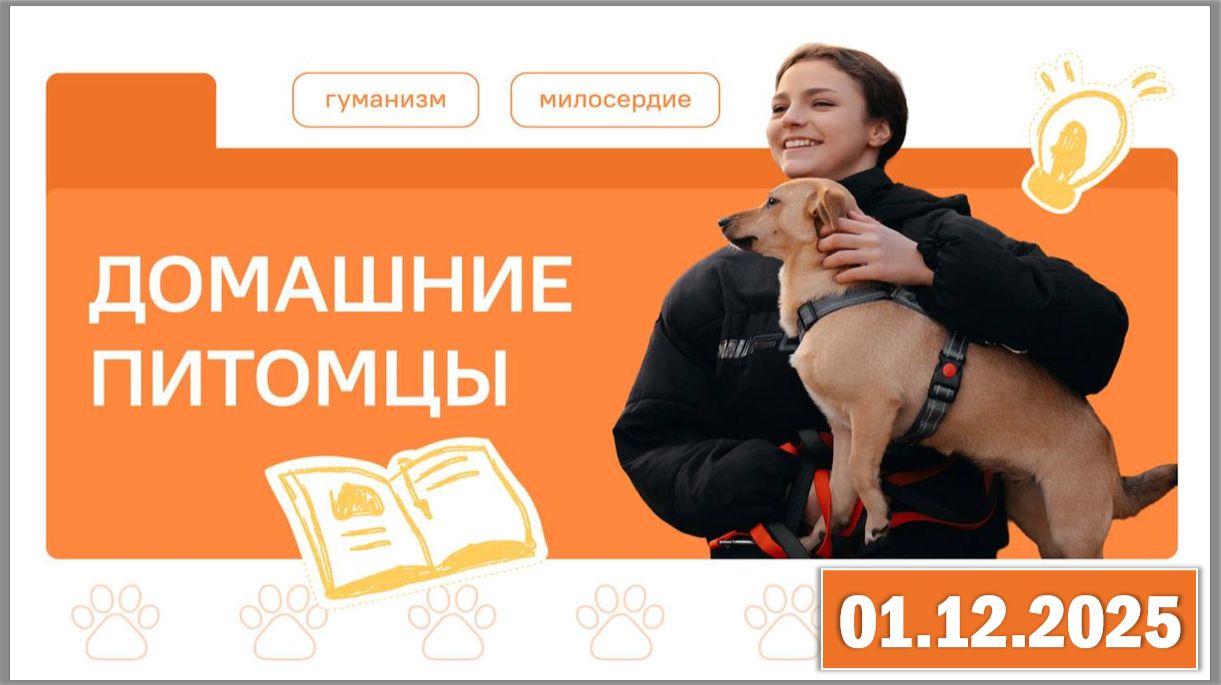 Разговоры о важном 01.12.25. Тема «Домашние питомцы» смотреть онлайн