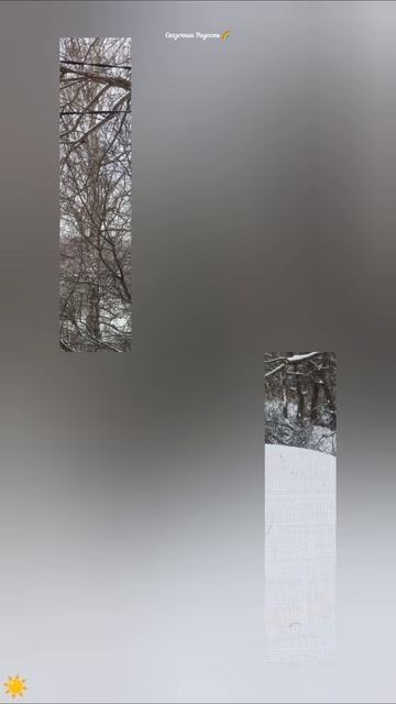 #село #лох #природа #красиво #зима2025год #путешествиеодногодня #ёлка смотреть онлайн