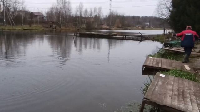 Светлые Горы Форель6 29.11.2025г смотреть онлайн