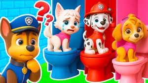 ВЫБЕРИ ПРАВИЛЬНЫЙ ТУАЛЕТ ЩЕНЯЧИЙ ПАТРУЛЬ СКАЙ МАРШАЛ РОКСИ ГОНЩИК в МАЙНКРАФТ PAW PATROL МУЛЬТИК
