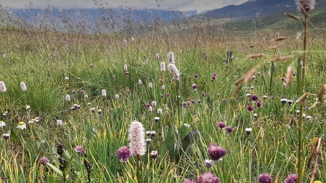 НОВЫЙ ДЕНЬ смотреть онлайн