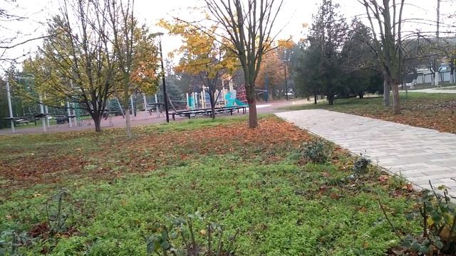 Сальск .суббота 22 ноября 2025 туман смотреть онлайн