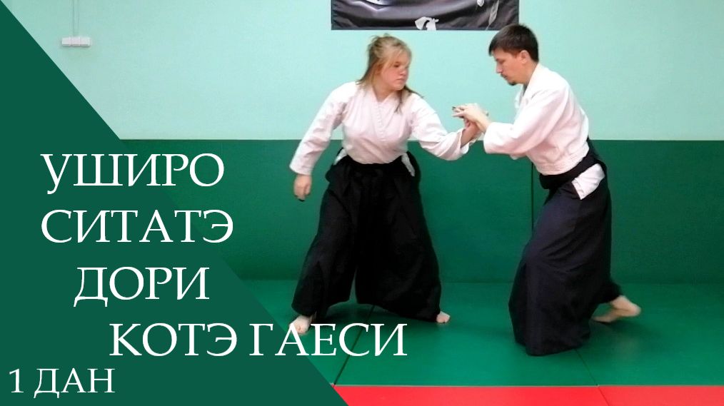 Уширо ситатэ дори - котэ гаеси