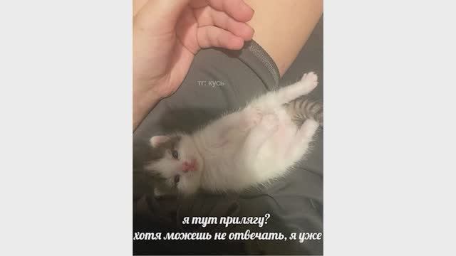 Я тут прилягу? смотреть онлайн