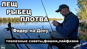 Лещ,рыбец и крупная плотва на фидер.Рыбалка на Дону.