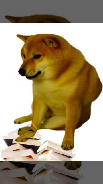 сдадим теорвер?