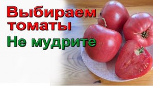 Как выбрать вкусные, надежные томаты. Советую