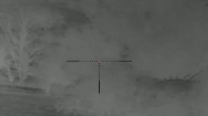 И снова шесть результативных вечеров охоты на шакала в Ростовских степях от Александра.