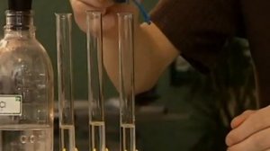 Практическая работа 3  Изучение свойств серной кислоты  Опыт 1