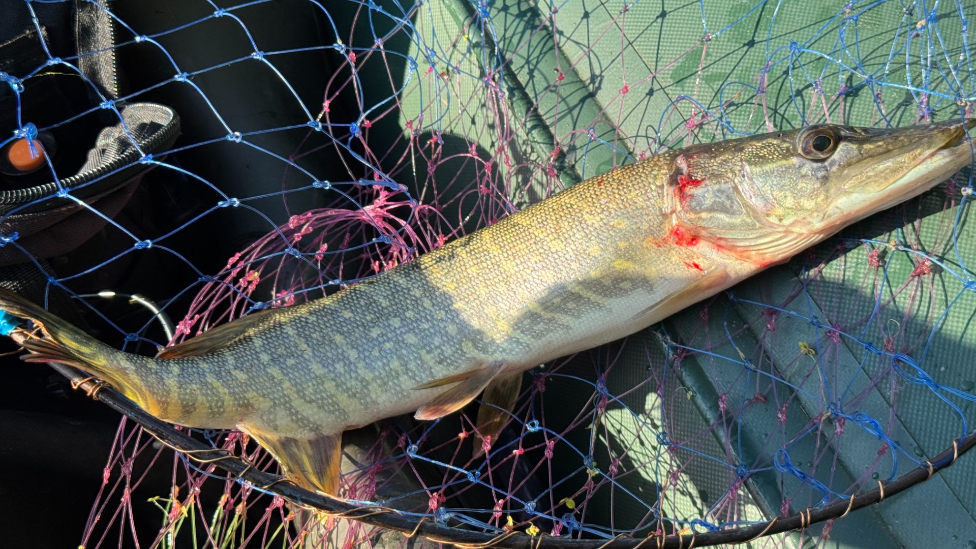 Рыбалка на спиннинг. Рыбалка на спиннинг с лодки. Рыбалка на щуку. Рыбалка на блесну. Блесна.