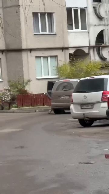 тцк вяжут овцу согласен с комментариями на видео смотреть онлайн