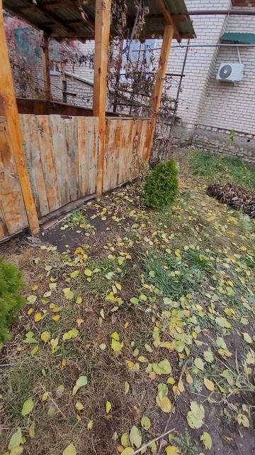 1000094922.mp4 смотреть онлайн