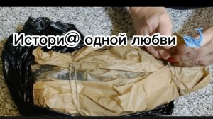 Астрахань Сом горячего копчения