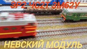 поезда Невского модуля ЭР2 ЧС2Т 3М62У.mp4