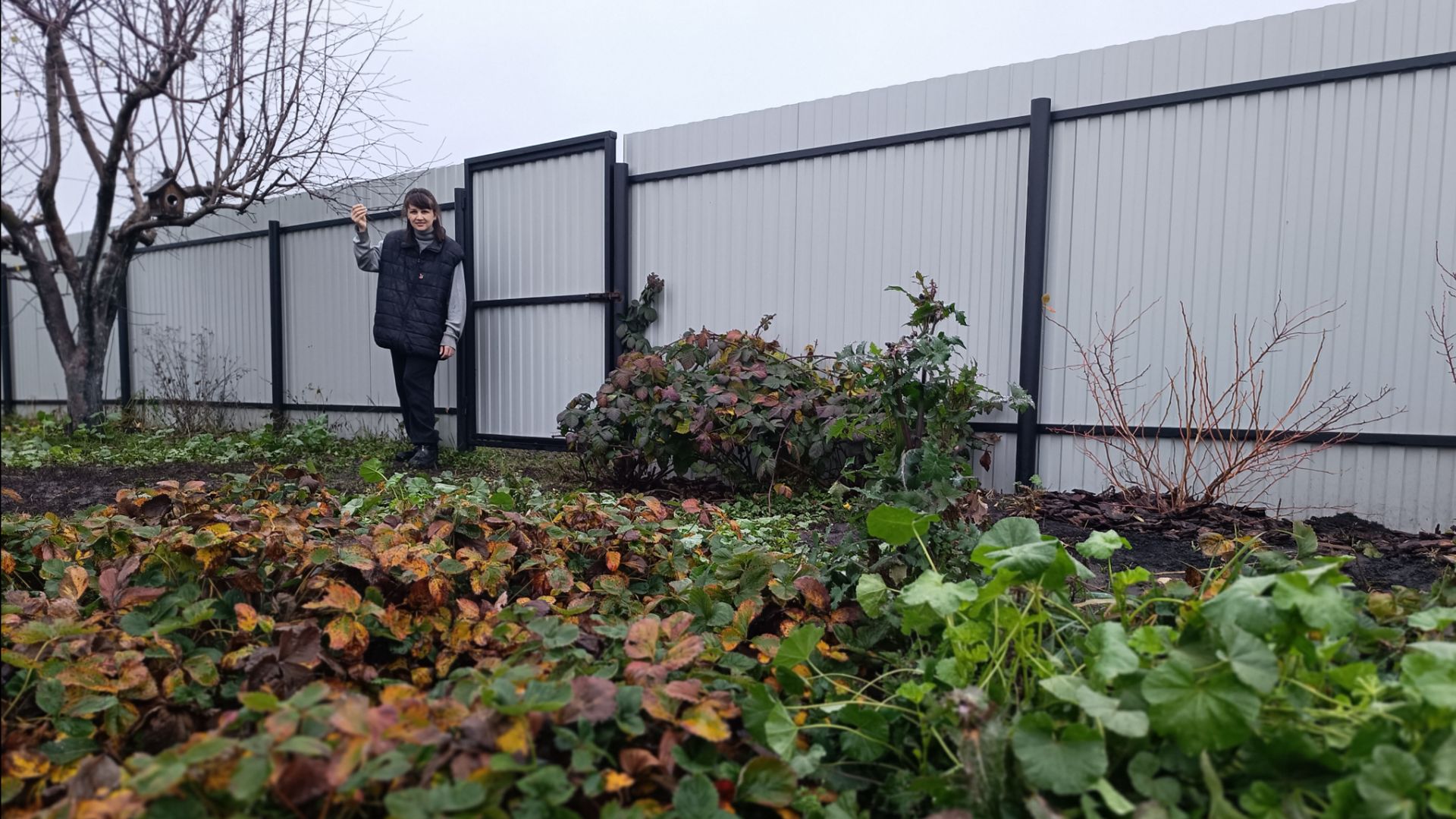 ДОСТАЛА МУЖА,НЕДОВОЛЬНА ВЫБОРОМ!СТЫДНО,ХОЧУ ВЕРНУТЬ ОБОИ/РЕМОНТ/ смотреть онлайн