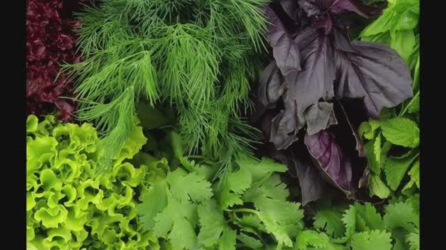 Заморозка зелени и овощей на зиму!!!🥦🥦🥦 смотреть онлайн