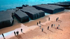 Египет Закопал Тонны Мертвых Растений под Песком в Дельте Нила, и Через Год Результат Шокировал