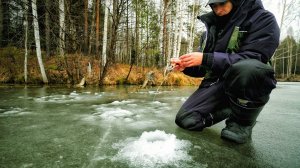 Опять первый лёд. Ловля окуня на безмотылку