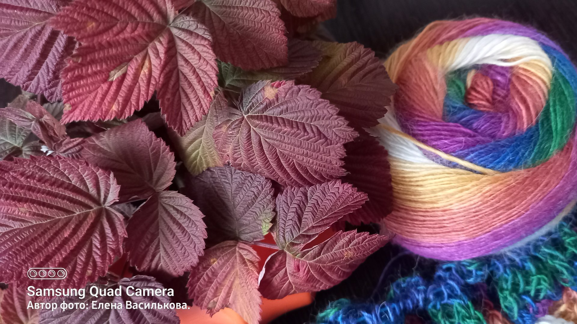 СП Нам Осень краски подарила//Итоги смотреть онлайн