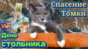 Спасение Томки и День стольника.