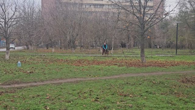 1. выражено/пож БАЛАРИС ИВАР 2 (Варгас из Белого Яра – Баларис Универс) смотреть онлайн