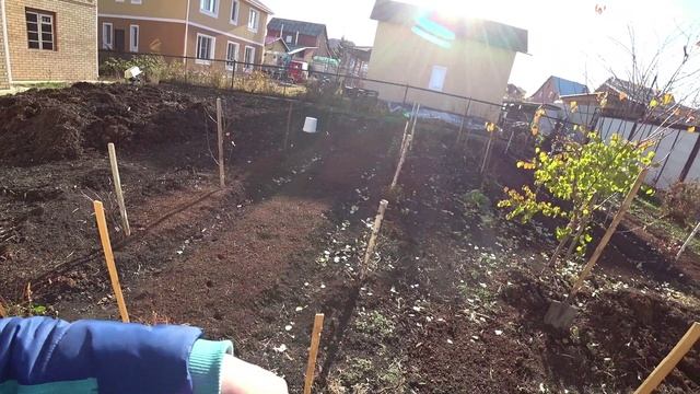 Влог от 20.10.2021 смотреть онлайн