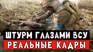 Штурм глазами ВСУ от первого лица. Полное мясо