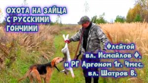 Охота на зайца с РГ Флейтой вл. Исмайлов Ф. и РГ Аргоном 1г. 4мес. вл. Шатров В.#охота #топ#hunting