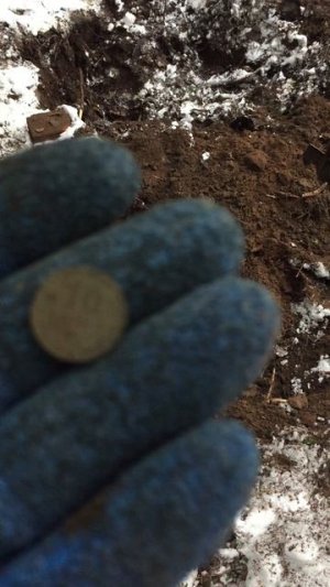 Все на шурф!