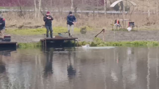 Светлые Горы Форель9 29.11.2025г смотреть онлайн