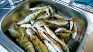 Открытие Зимней Рыбалки в Челябинской области.