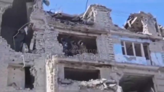 ‼️🇷🇺Три Богатыря в Красноармейск (Покровск) задавайся хохол, 149.200 ВОЛГА будешь жить🇷🇺🇷🇺🇷🇺 смотреть онлайн