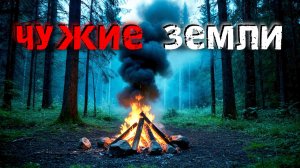 Лес, который не отпускает. Жуткие истории из глуши.