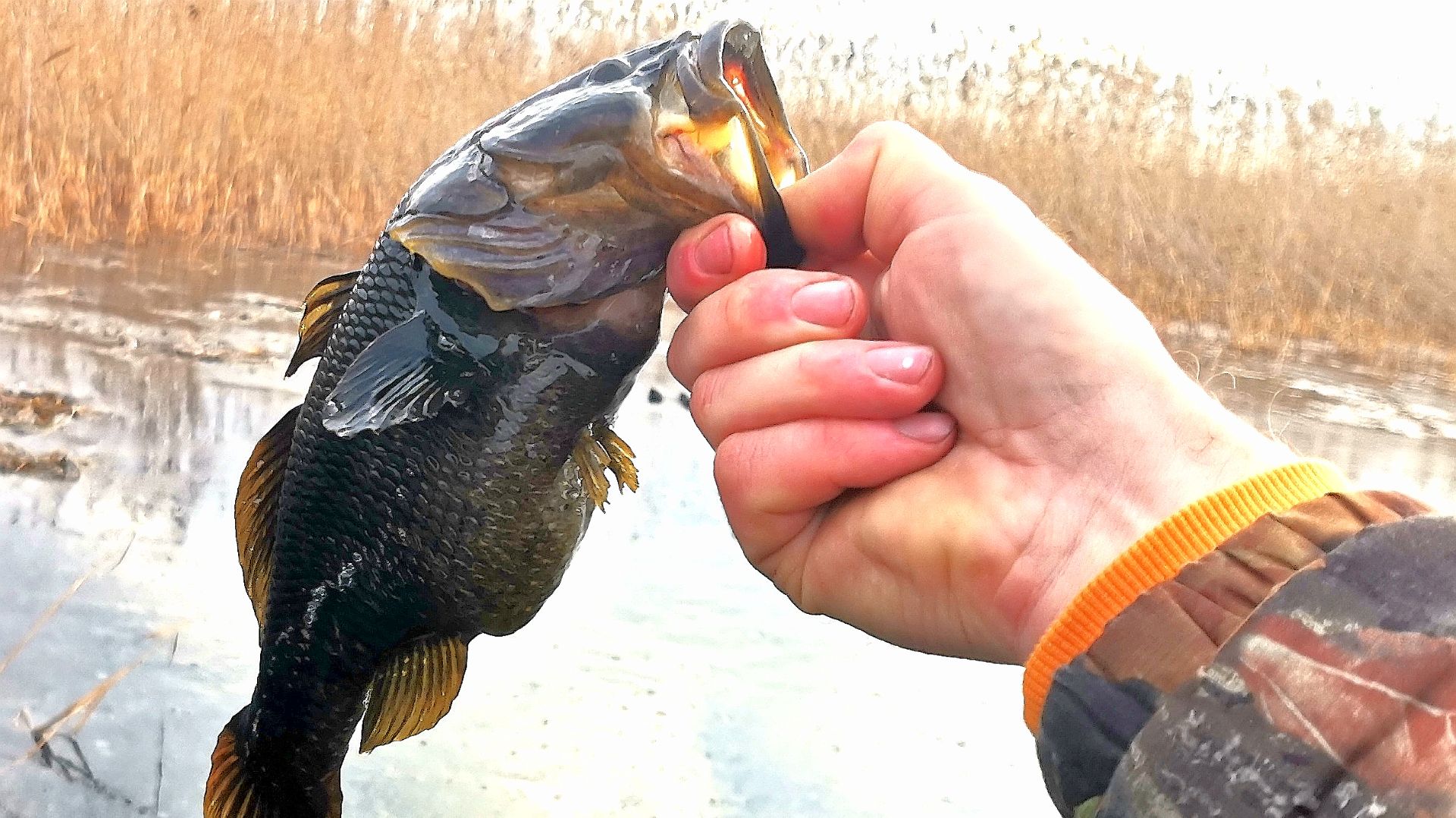Ловлю ротанов. Зимняя рыбалка. Новый водоём.