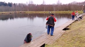 Ловля форели на безлимитном водоёме РК "Фишка Петряиха"