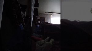 VID_20251129_143050.mp4