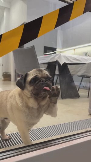 МЫ ВЫГНАЛИ ДЖОНИ ИЗ СЕМЬИ 😳