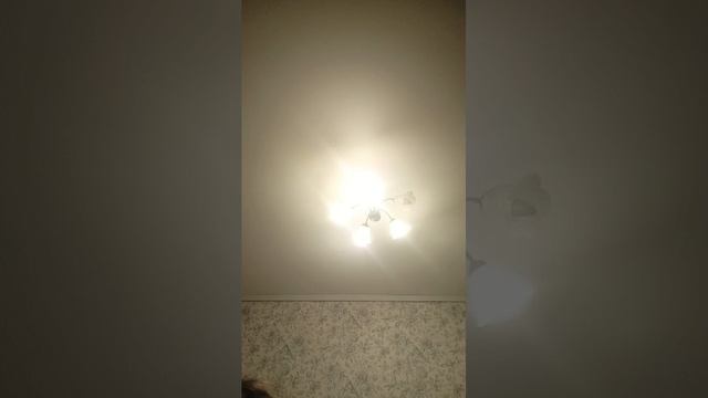 пп смотреть онлайн