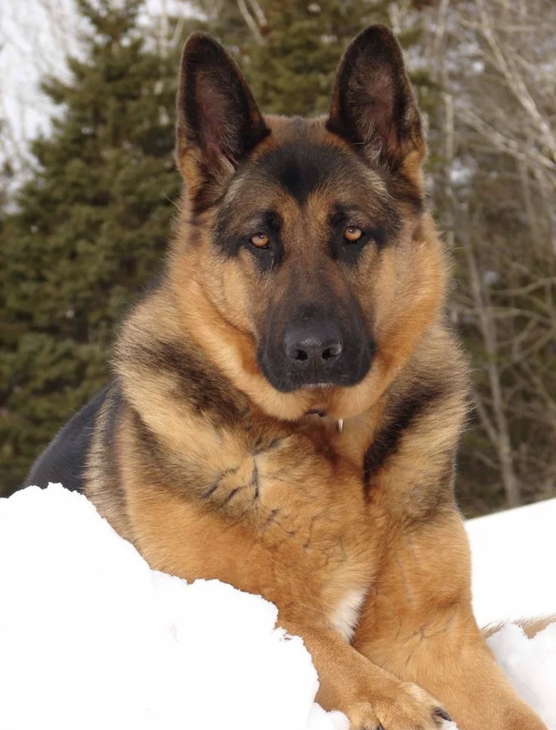 пишите вопросы в комментариях смотреть онлайн