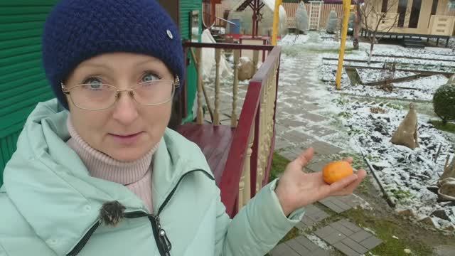 Видео привет с 6 соток 22 ноября 2025 года. смотреть онлайн